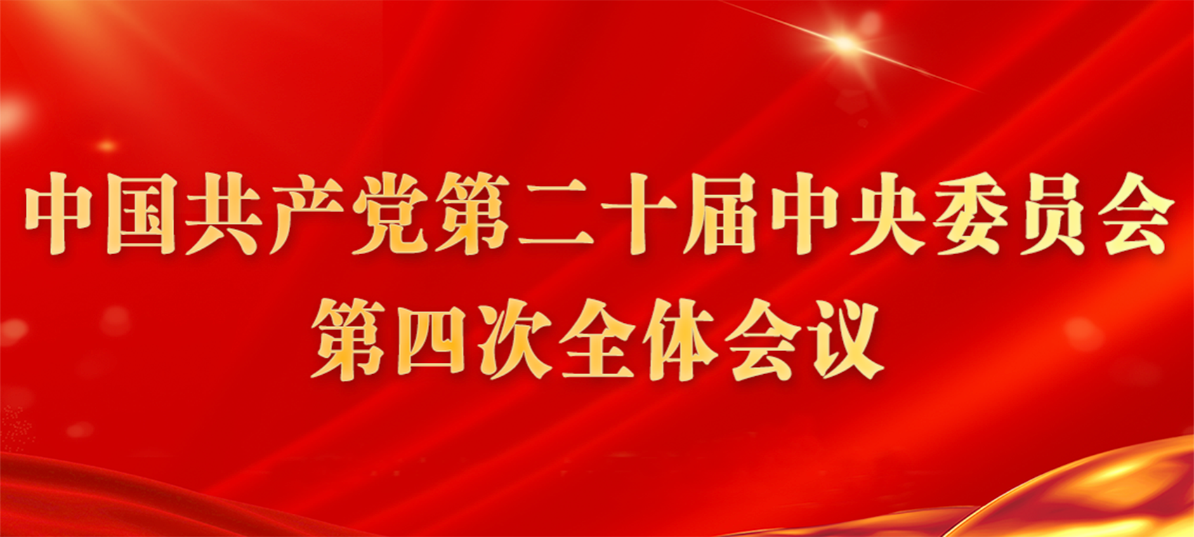 中国共产党第二十届中央委员会第四次全体会议